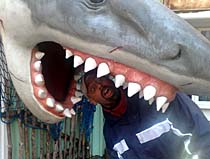 click 2 enlarge click to enlarge