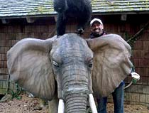 click 2 enlarge click to enlarge