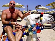 click 2 enlarge click to enlarge